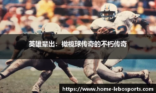 乐博体育官网